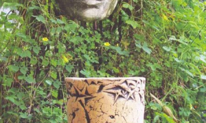 Venus en una selva virgen