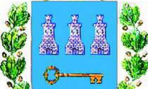 Escudo del Cerro 