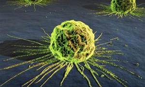 El índice de personas enfermas con cáncer aumentará, según informe publicado por