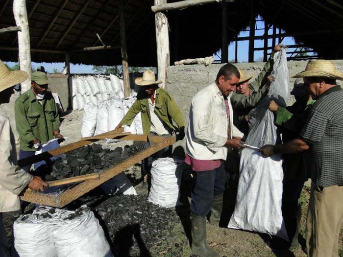 Los productores están entusiasmados con los resultados obtenidos. 