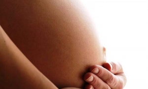 barriga