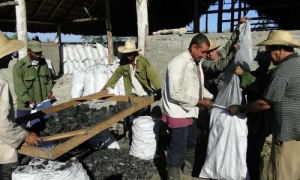 trabajo