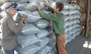 Producción de carbón en Cienfuegos-2