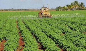 agricultura