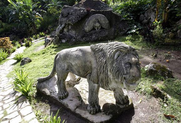 El Rey de la selva. 