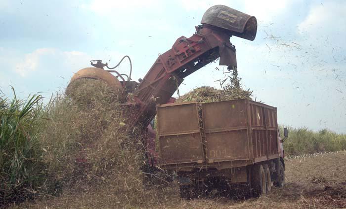 zafra en cuba