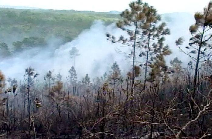 Incendio Pinar del Río