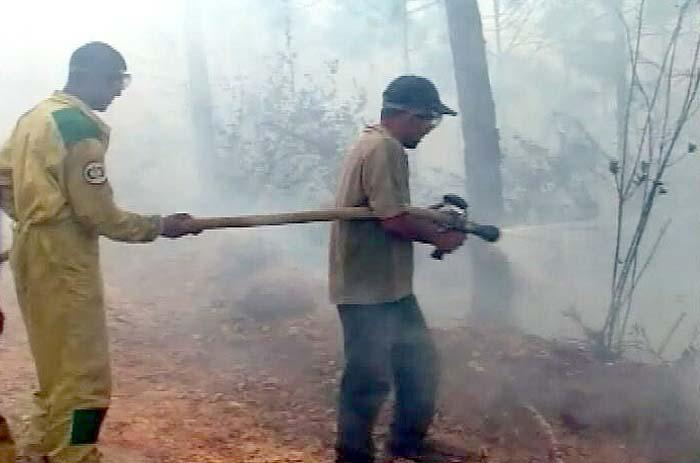 incendio pinar