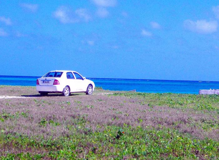 Esta es una de las violaciones más frecuentes contra la duna, aún cuando junto a la vía está la señal que prohíbe hacerlo. foto del autor