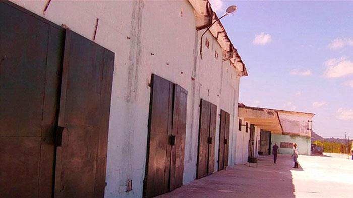 Insumos agrícolas en la Isla