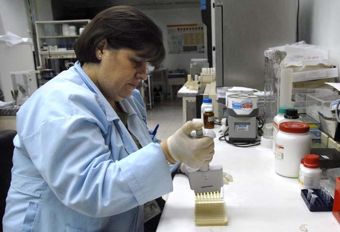 Es importante la aplicación de la vacuna cubana contra la leptospirosis, sobre todo en los grupos de riesgo como el personal de laboratorio. 