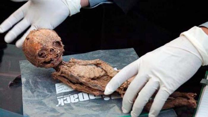 Este cuerpo momificado de 25 centímetros fue encontrado en la provincia iraní de Kermán en el 2005 y desató la teoría de la existencia de una población de enanos. FOTO: IRINN