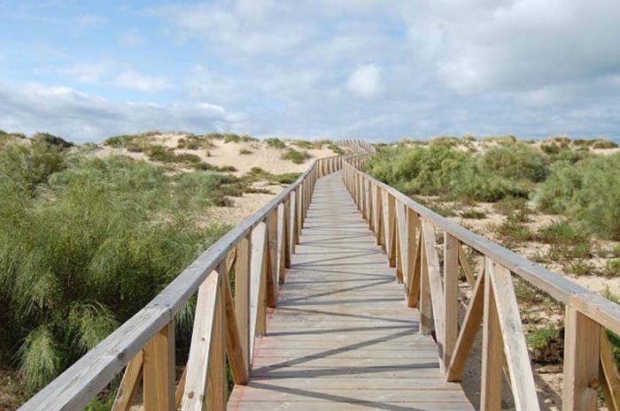 puente-pasos peatonales
