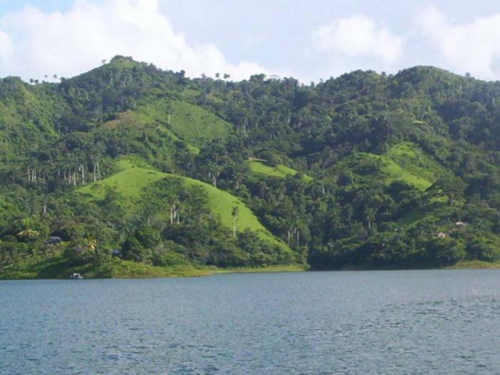La sostenida labor de los trabajadores forestales en los últimos cinco años, permitió a Villa Clara crecer, en cuanto al índice de boscocidad en un 1,67%, con lo cual logró situarse como una de las de mayor progreso en esta importante tarea en el país
