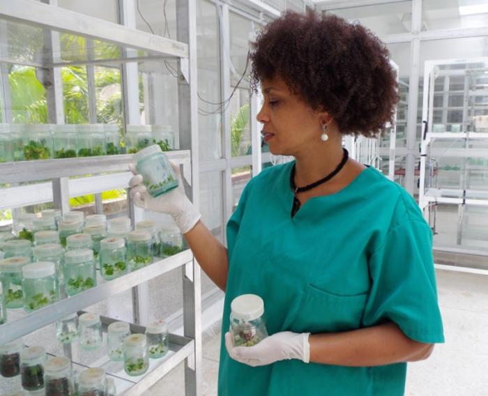 La doctora  Elisa Quiala, ejemplo del potencial científico atesorado en nuestra juventud. foto del autor
