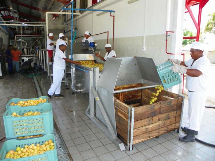 minindustria de conservas
