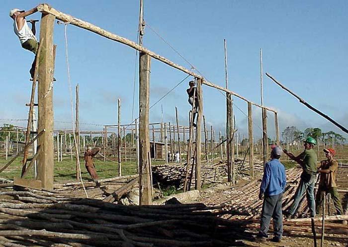 Este es uno de los mayores mantenimientos a la infraestructura tabacalera, previsto para una campaña en Vueltabajo. 