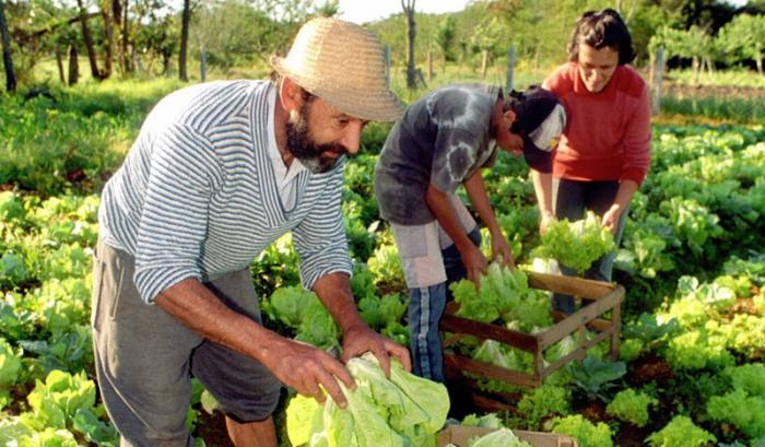 Agricultura familiar, FAO, alimentación 