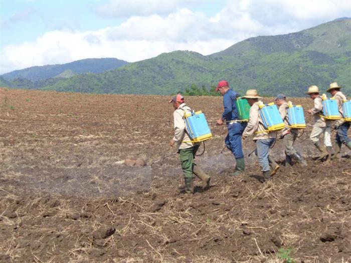 Convertir el Valle en un espacio económicamente sostenible constituye el principal desafío que enfrentan las fuerzas involucradas en su rescate.