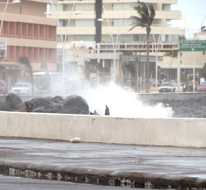 Veracruz malecon entrada de un frente frio y ambiente