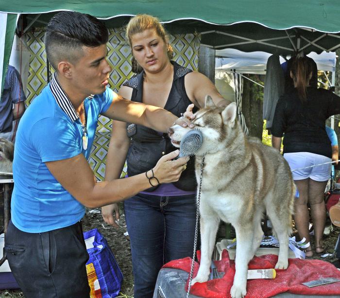 Competencia canina en el Parque Metropolitano
