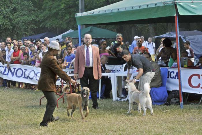 Competencia canina en el Parque Metropolitano