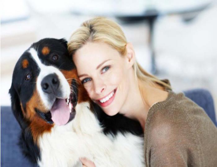 Los perros entienden las emociónes de los humanos