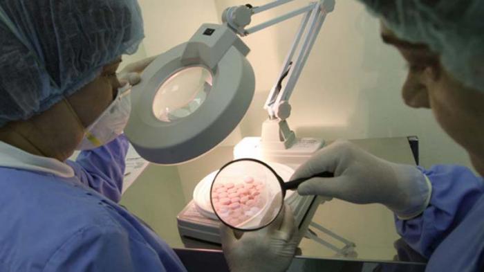 científicos rusos desarrollan píldora que retarda el envejecimiento