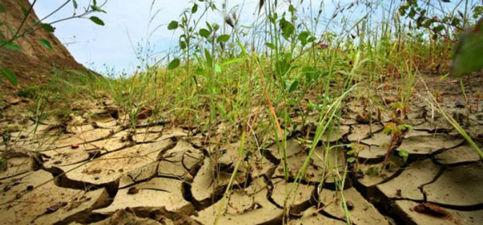 Sobre la cumbre de cambio climatico. La región latinoamericana y caribeña se considera entre las más afectadas por el cambio climático. Foto: IPS