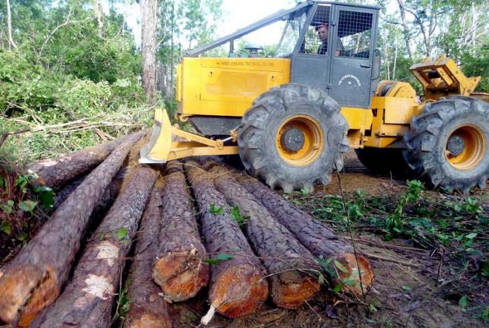 Los nuevos equipos ya contribuyen al acopio de madera y su traslado a la industria