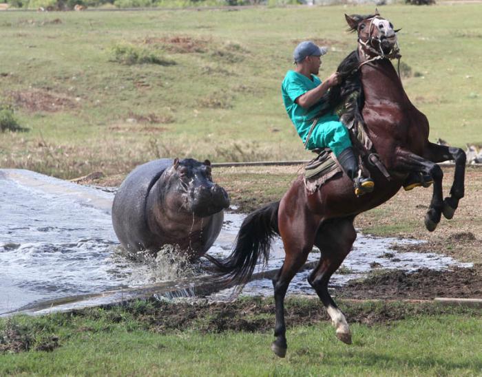 Visitan Parque Zoologico Nacional Delegados a la Cumbre Caricom Cuba. Foto: Ismael Francisco/Cubadebate.