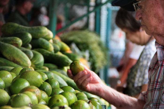 Ferias agropecuarias