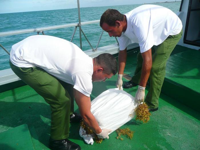 Tropas Guardafronteras (TGF) y sus fuerzas colaboradoras, quienes permanecen al acecho ante acciones amenazantes como el bombardeo desde medios aéreos y el trasiego, barco a barco, de paquetes de marihuana y cocaína. Momento en que Osmel y su compañero depositan la droga en la embarcación.