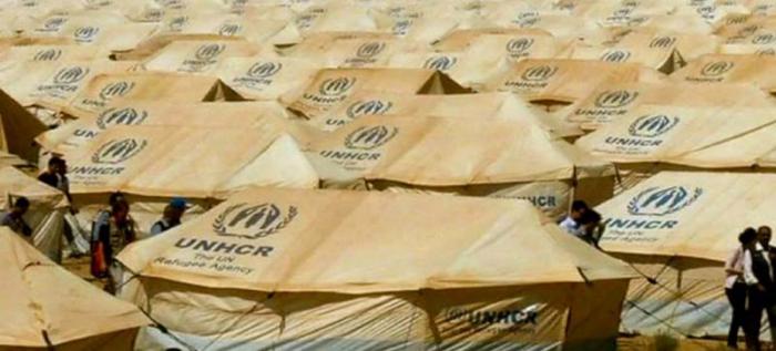 Más de 56 millones 700 000 personas son consideradas refugiados en la actualidad. 