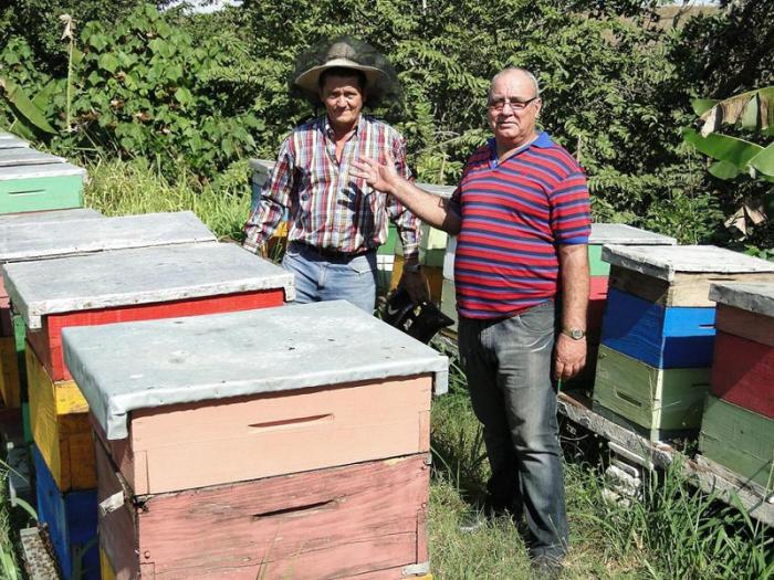 Tejeda, el director de la Apicultura, muestra a Pedro Sarmiento, apicultor más integral de la nación durante varias ocasiones y mayor productor de Cienfuegos actualmente