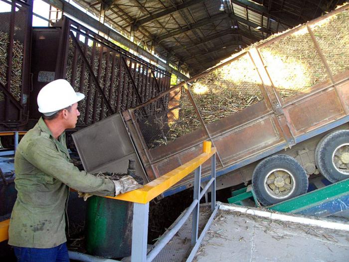 Central Majibacoa. En el área industrial se han realizado inversiones con el objetivo de montar nuevos sistemas de basculación y crear mesas alimentadoras. 