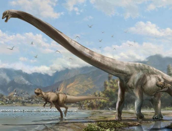 Dinosaurio. El dinosaurio más cuellilargo