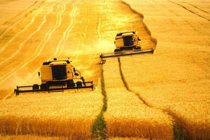 La Organización de Naciones Unidas para la Alimentación y la Agricultura (FAO) reiteró que el modelo de producción agrícola que predomina hoy es inadecuado para los nuevos retos de la seguridad alimentaria del siglo XXI.