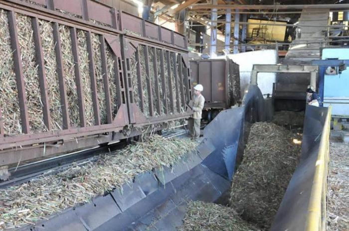 Central 14 de Julio de Rodas