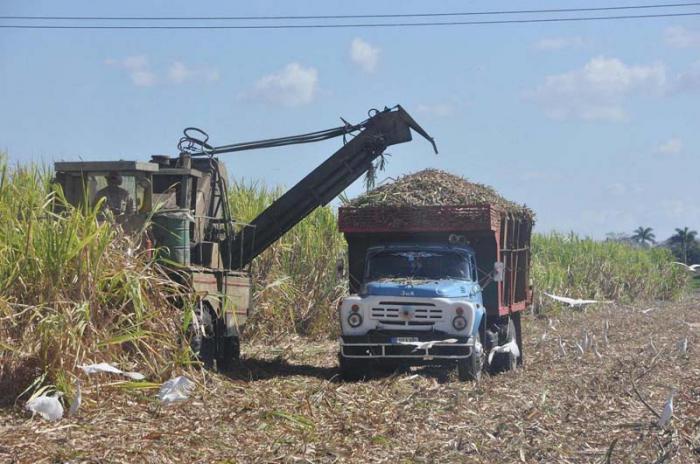Reconocen a la mejor UBPC La Vietnam cañera del país