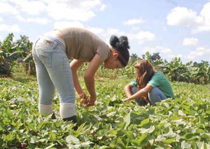 Mujeres en la Agricultura
