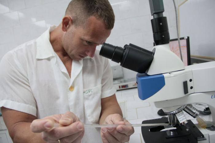 Instituto de investigaciones porcinas. Inseminación en cerdos. Laboratorio de procesamiento de semen.