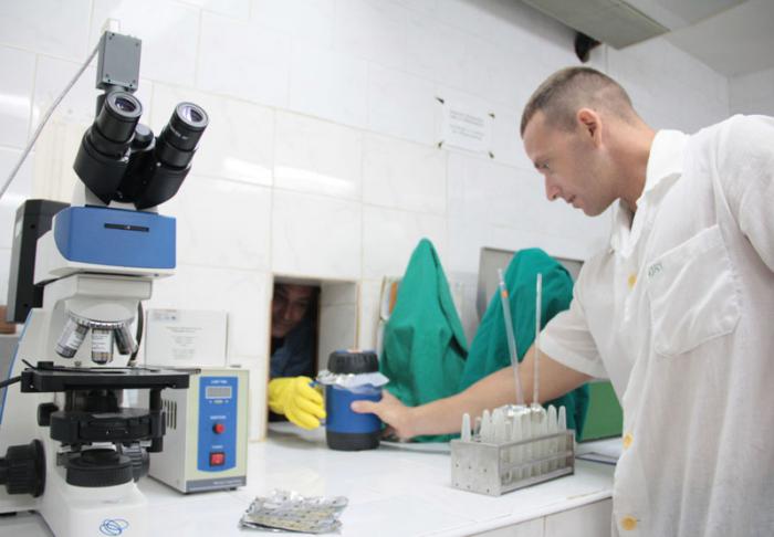 Instituto de investigaciones porcinas. Inseminación en cerdos. Laboratorio de procesamiento de semen.