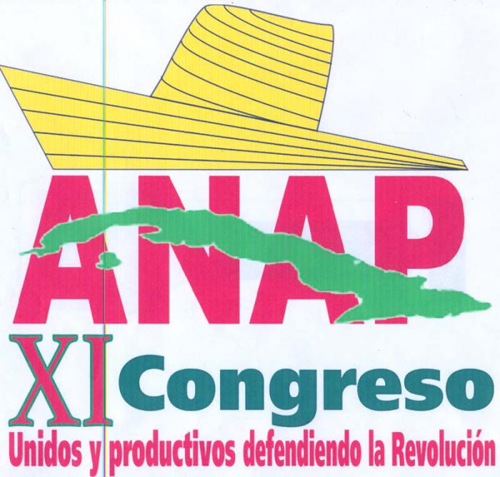 Logotipo del XI Congreso de la ANAP