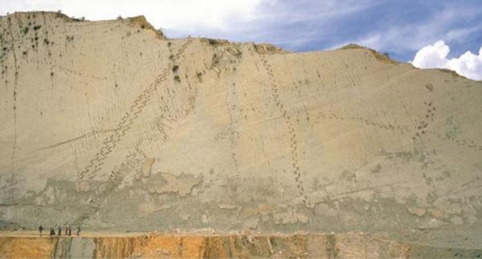 Dinosaurios en Bolivia