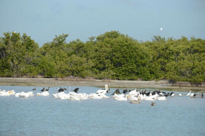 HUMEDAL CIÉNAGA DE ZAPATA