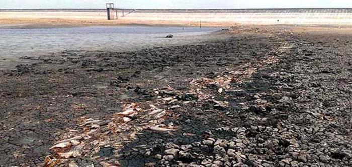 El descenso simultáneo de los embalses a causa de la sequía, ha golpeado severamente a la acuicultura pinareña