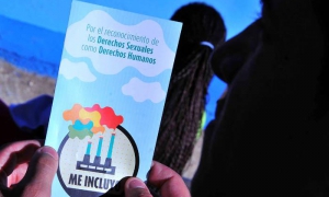 La inclusión como principio