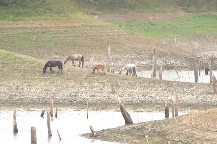 Presa Zaza- En plena etapa primaveral la mayor represa del país acumula poco más del 15 por ciento de su capacidad de embalse
