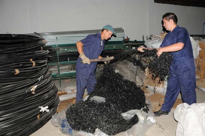 El acceso a la materia prima no constituye un problema en la cooperativa